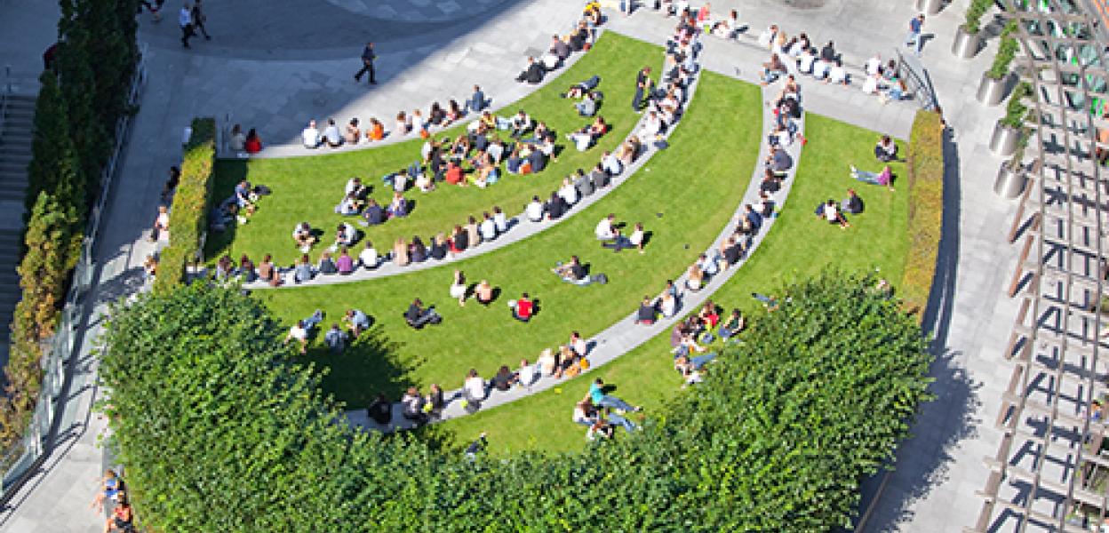 Cardinal Place Roof Garden 